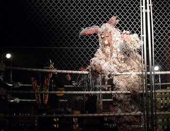 Kaiju in San Diego Battel Photo